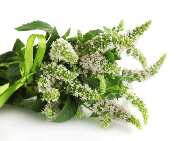 Fresh mint with flowers, isolated on white — Stock Photo, Image