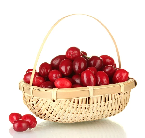 Fresh cornel berries in wickerbasket isolated on white — Stock Photo, Image