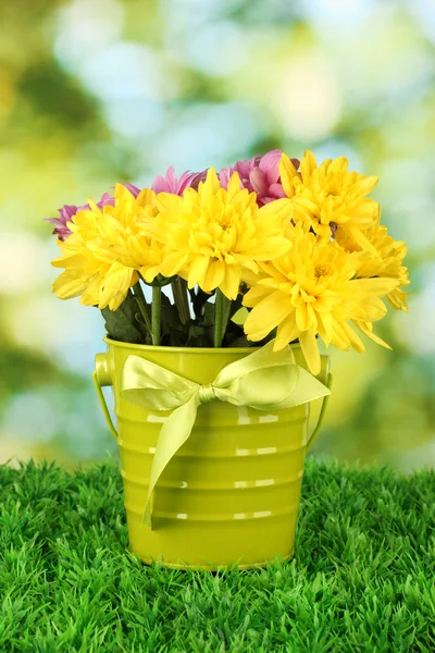 Hermoso ramo de crisantemos en un cubo de colores brillantes sobre fondo verde —  Fotos de Stock