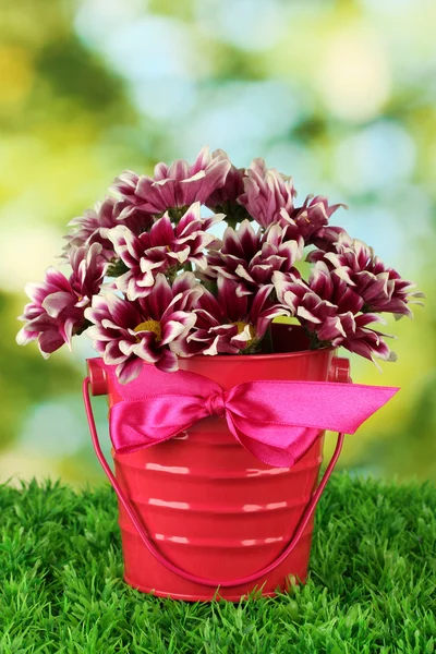Beautiful bouquet of chrysanthemums in a bright colorful bucket on green background — Stock Photo, Image