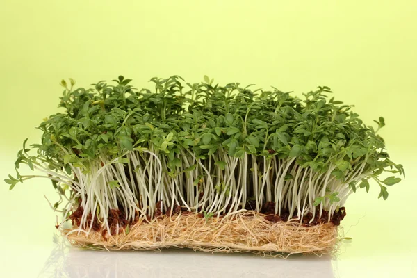 Fresh cress salad on green background — Stock Photo, Image