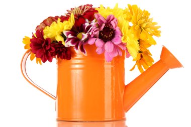 Bouquet of beautiful summer flowers in watering can, isolated on white clipart