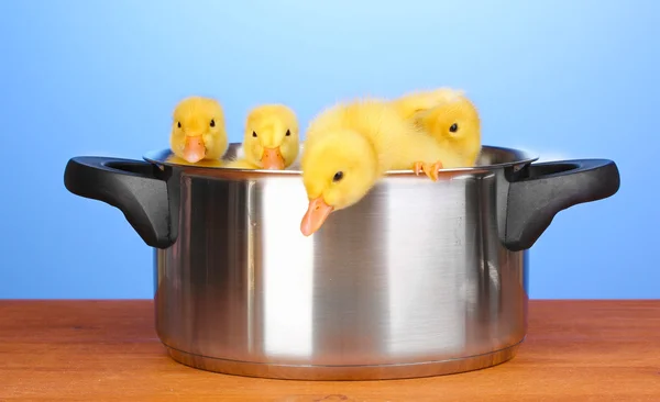 Duckling in saucepan on wooden table on blue background — Stock Photo, Image