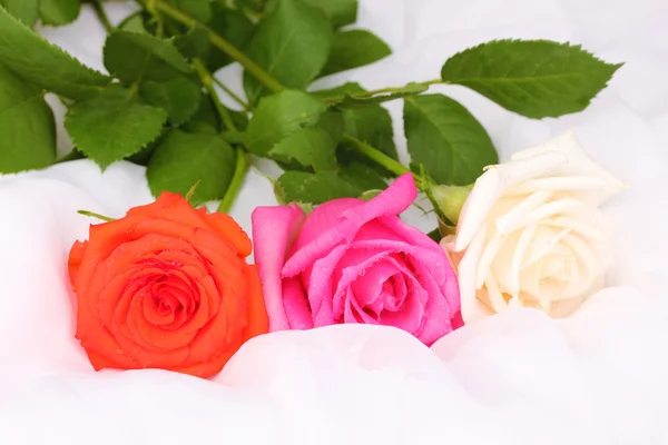 Piękne róże na białym obrusem — Zdjęcie stockowe