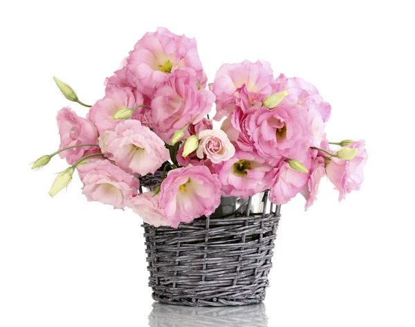 Bouquet of eustoma flowers in wicker vase, isolated on white — Stock Photo, Image