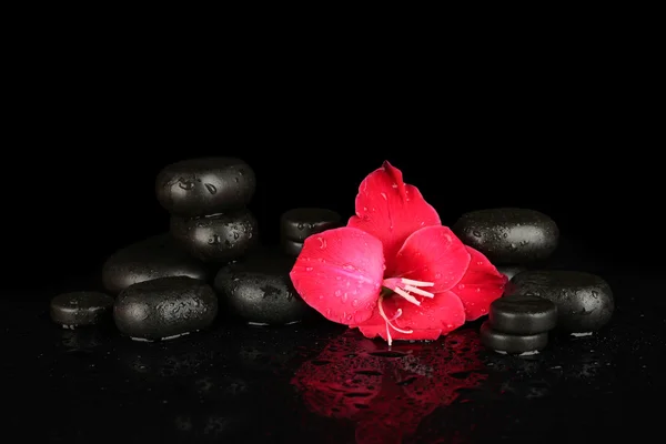 Pedras de spa com gladiolus bud isolado em preto — Fotografia de Stock