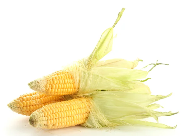 Świeża kukurydza, na białym tle — Zdjęcie stockowe