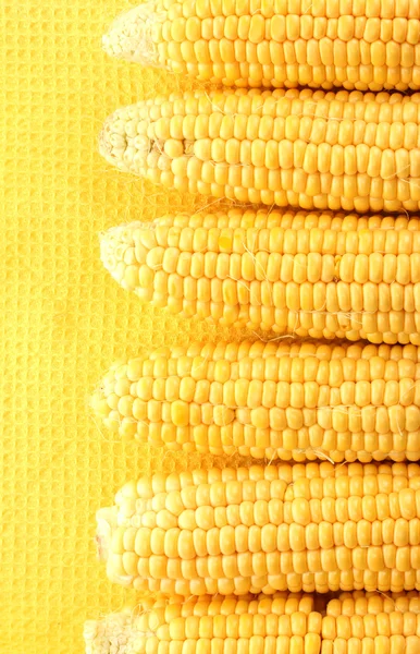 新鲜的玉米，在黄色背景上 — 图库照片