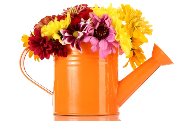 Bouquet of beautiful summer flowers in watering can, isolated on white — Stock Photo, Image