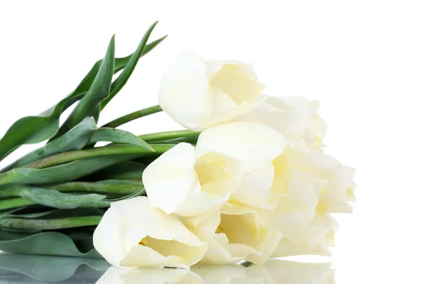 Красиві тюльпани ізольовані на білому — стокове фото