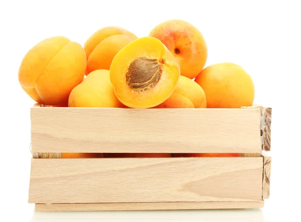 Abricots mûrs dans une boîte en bois isolée sur blanc — Photo