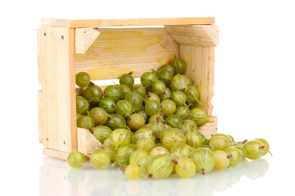 Grosella verde en caja aislada en blanco — Foto de Stock