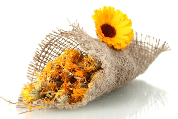 Dried and fresh calendula flowers in sacking, isolated on white — Stock Photo, Image