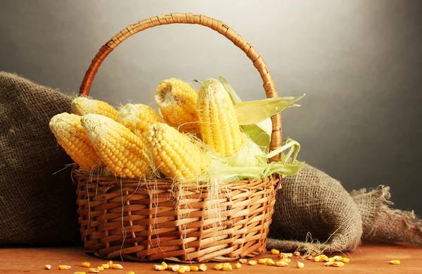 Fresh corn in basket, on wooden table, on grey background — Stock Photo, Image