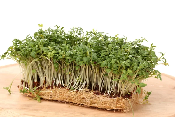 Fresh cress salad on wooden board isolated on white — Stock Photo, Image