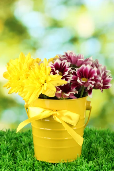 Hermoso ramo de crisantemos en un cubo de colores brillantes sobre fondo verde —  Fotos de Stock