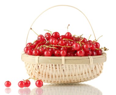 redcurrants üzerinde beyaz izole bir sepet içinde