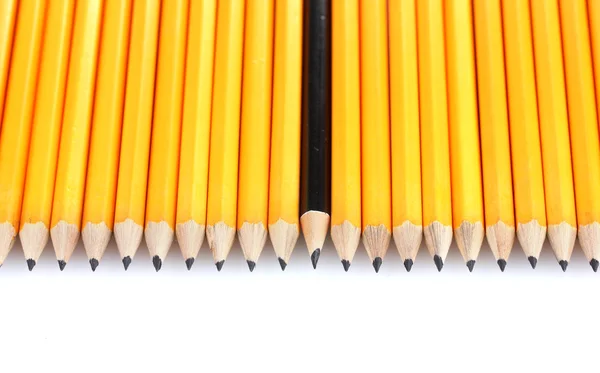흰색으로 분리 된 납 연필 — 스톡 사진