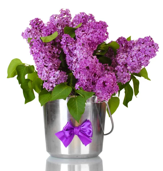 Hermosas flores lila en cubo de metal aislado en blanco —  Fotos de Stock