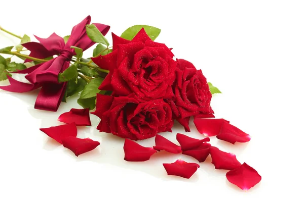 Tres hermosas rosas rojas con gotas aisladas en blanco — Foto de Stock