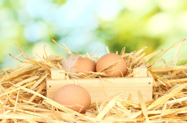 Коричневые яйца в деревянной коробке на соломе на зеленом фоне — стоковое фото