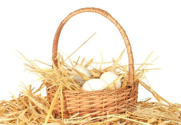 Witte eieren in een rieten mand op stro op witte achtergrond — Stockfoto