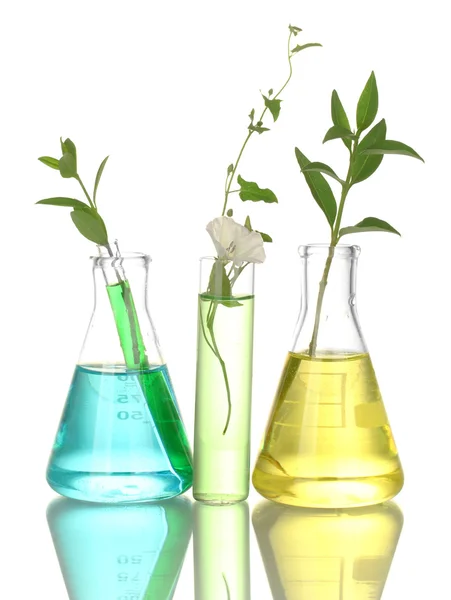 다채로운 솔루션 및 흰색 클로즈업에 고립 된 식물 시험관 — 스톡 사진