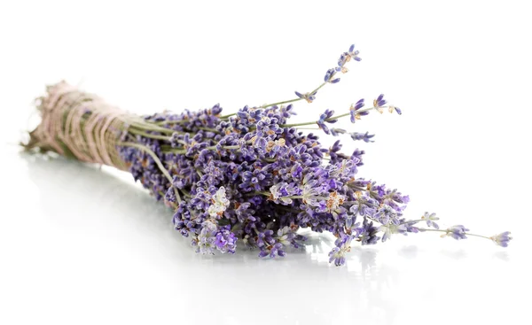 Lavendelbloemen geïsoleerd op wit — Stockfoto