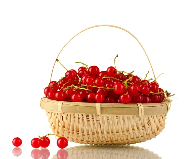Redcurrants in a basket isolated on white — Stock Photo, Image