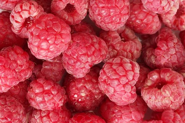 Ripe raspberries background — Stock Photo, Image