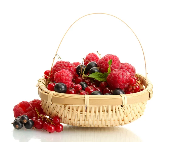 成熟的浆果与薄荷在篮子上白色隔离 — 图库照片