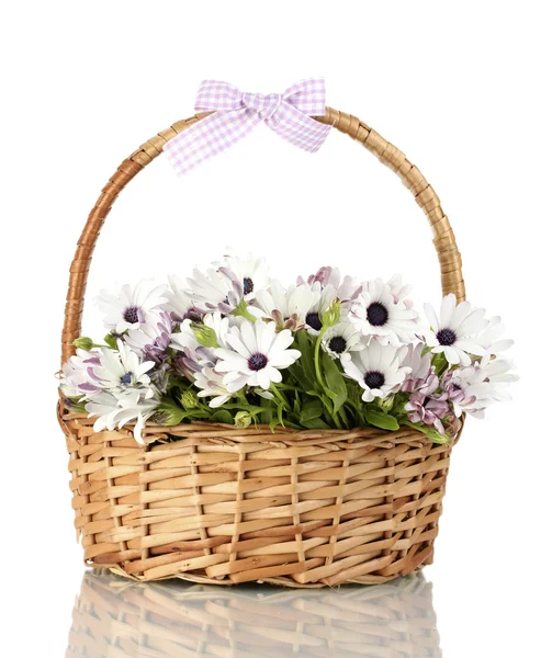Bouquet of beautiful summer flowers in basket, isolated on white — Stock Photo, Image