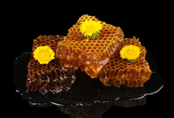 Favo de mel closeup no fundo preto — Fotografia de Stock