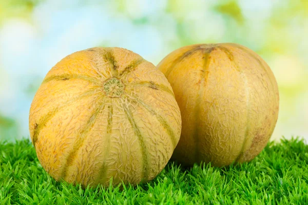 Tasty melons on grass on green background — Stock Photo, Image