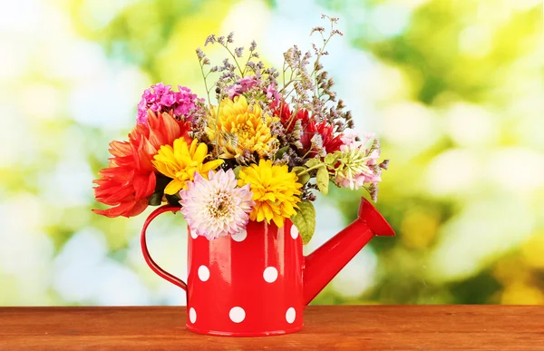 Czerwona konewka z białe kropki z kwiatami na zielonym tle — Zdjęcie stockowe