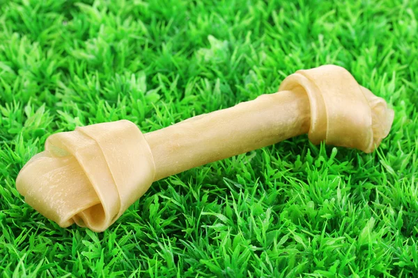 Собача кістка на зеленій траві — стокове фото