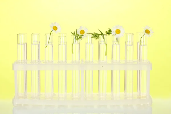 Test tüpleri ile şeffaf bir çözüm ve bitki üzerinde sarı arka plan yakın çekim — Stok fotoğraf