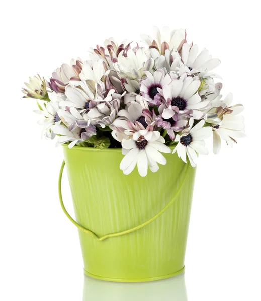 Bouquet di bellissimi fiori estivi in secchio, isolati su bianco — Foto Stock