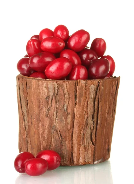 Свежие ягоды кукурузы в деревянной чашке, изолированные на белом — стоковое фото