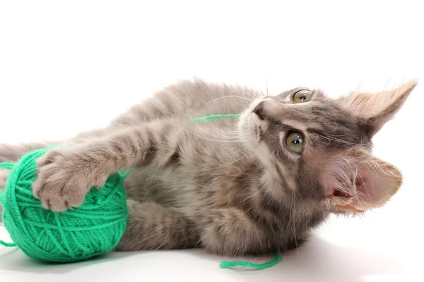 Piccolo gattino grigio giocare con il filato per lavorare a maglia isolato su bianco — Foto Stock