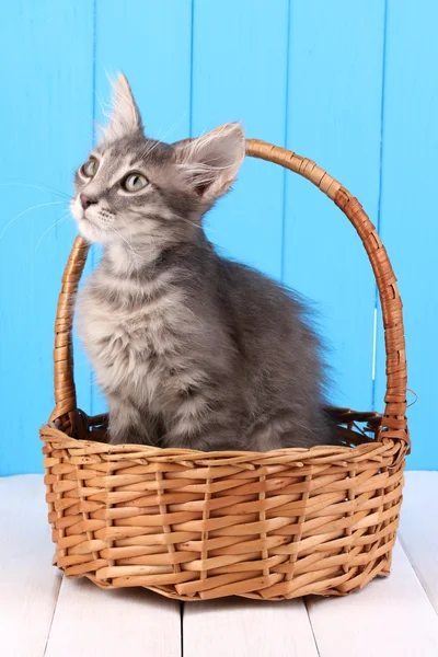 Kleines graues Kätzchen im Korb auf Holztisch — Stockfoto