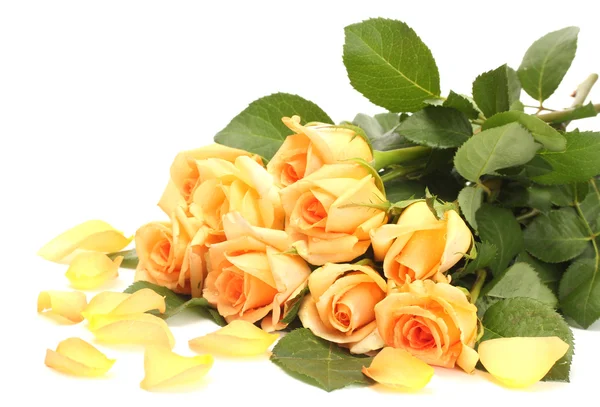 Mooie bouquet van rozen en bloemblaadjes geïsoleerd op wit — Stockfoto