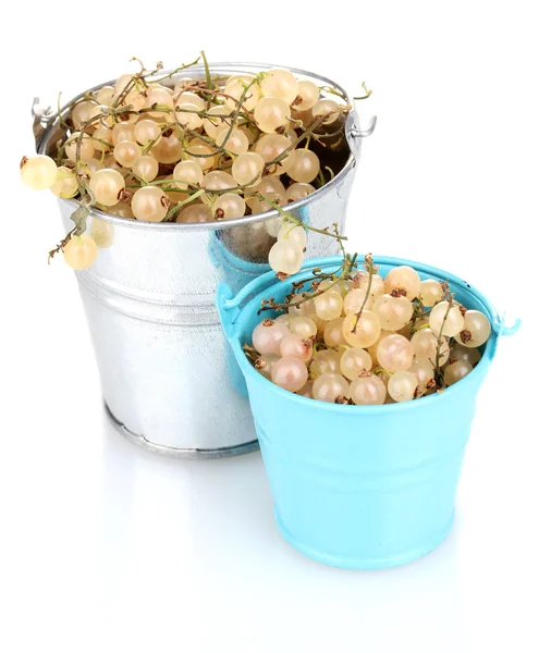 Ribes bianco in secchi metallici isolati su bianco — Foto Stock