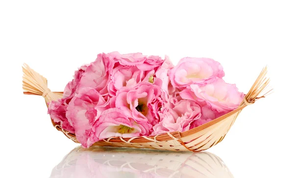 Bouquet of eustoma flowers in basket, isolated on white — Stock Photo, Image