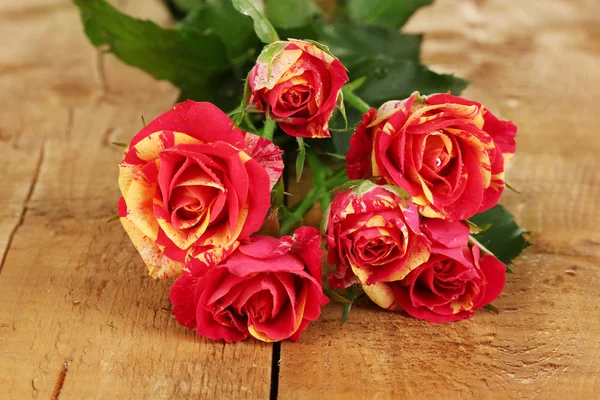Beautiful red-yellow roses on wooden background close-up — Stock Photo, Image