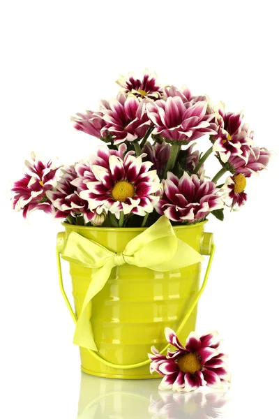 Beautiful bouquet of chrysanthemums in a bright colorful bucket isolated on white — Stock Photo, Image