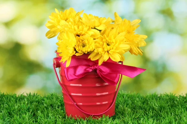 Krásnou kytici chryzantém v zářivě barevný kbelík na zeleném pozadí — Stock fotografie