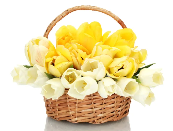 Красивые тюльпаны в корзине изолированы на белом — стоковое фото