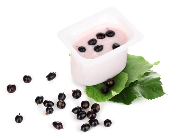 Yoghurt met bosbessen geïsoleerd op wit — Stockfoto