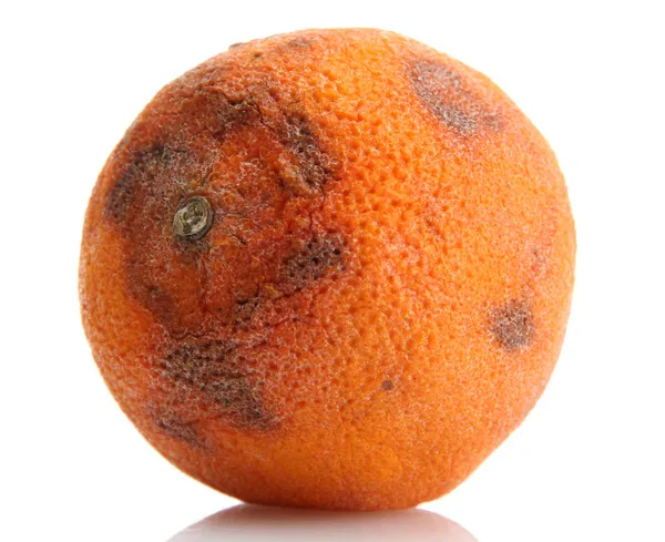 Rotten orange isolated on white — Stock Photo, Image